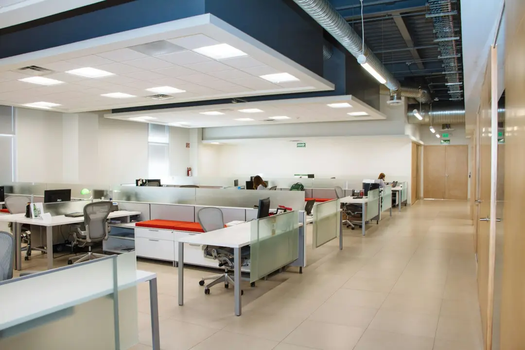 Bright open-plan commercial office interior