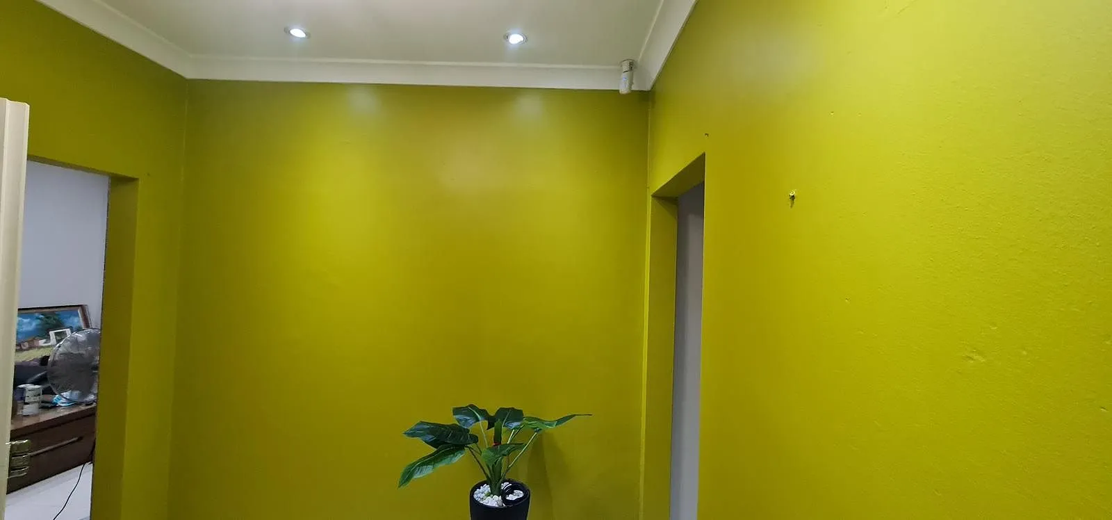 Bold lime feature walls